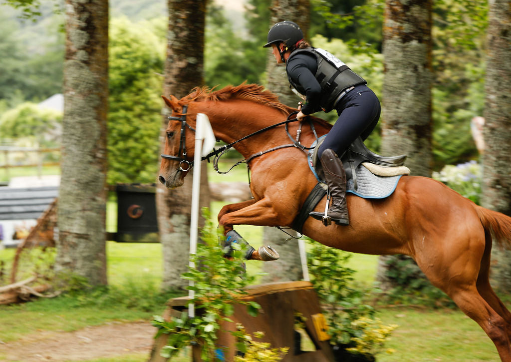 'ALYSSA' BLUE BREECH